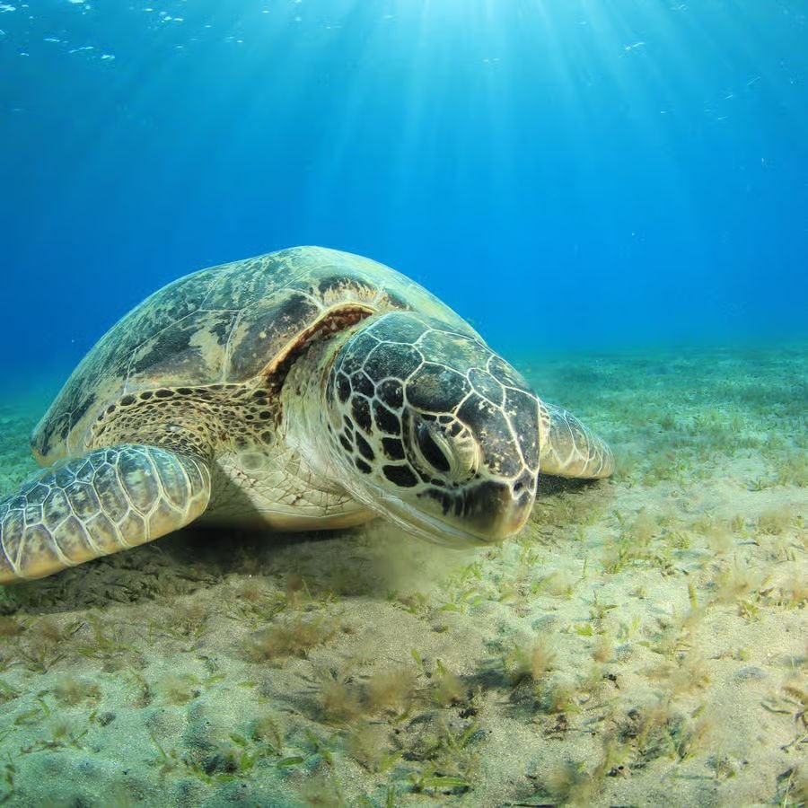 WhatsApp Obrázek 2025-08-27 v 11.46.05_622278e3