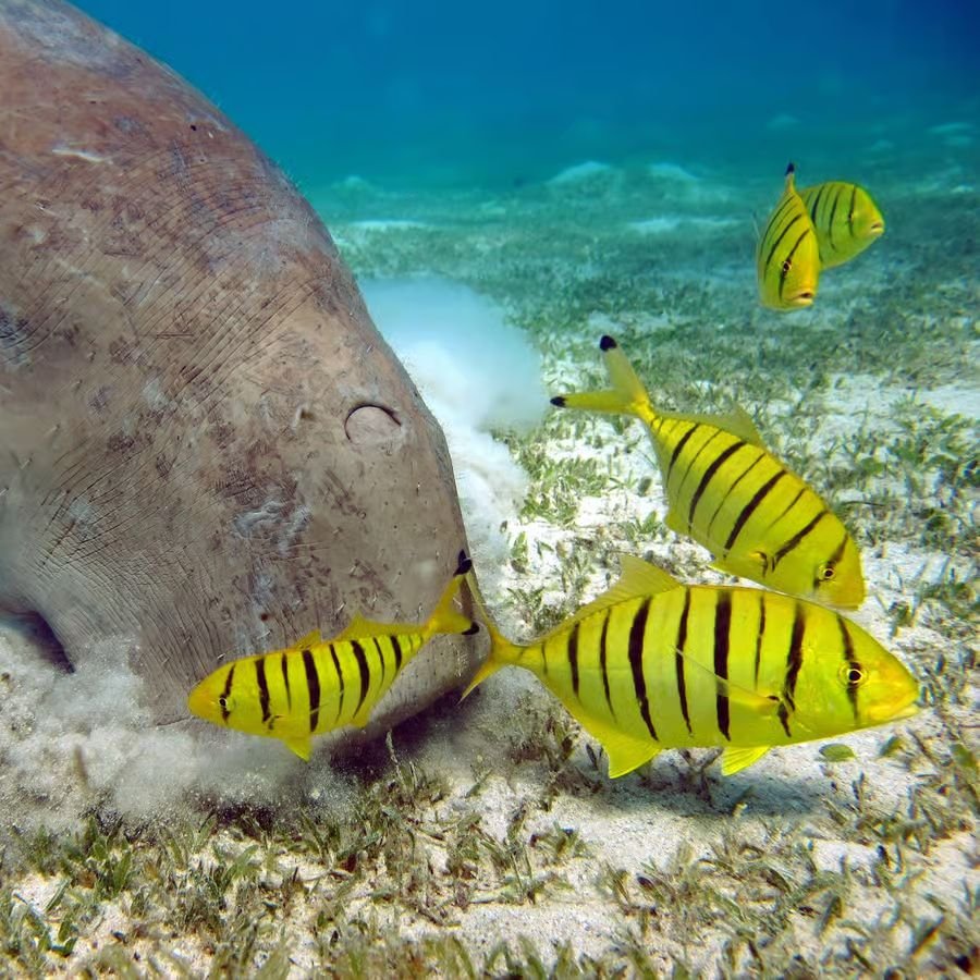 WhatsApp Obrázek 2025-08-27 v 11.46.06_7ae89ef3