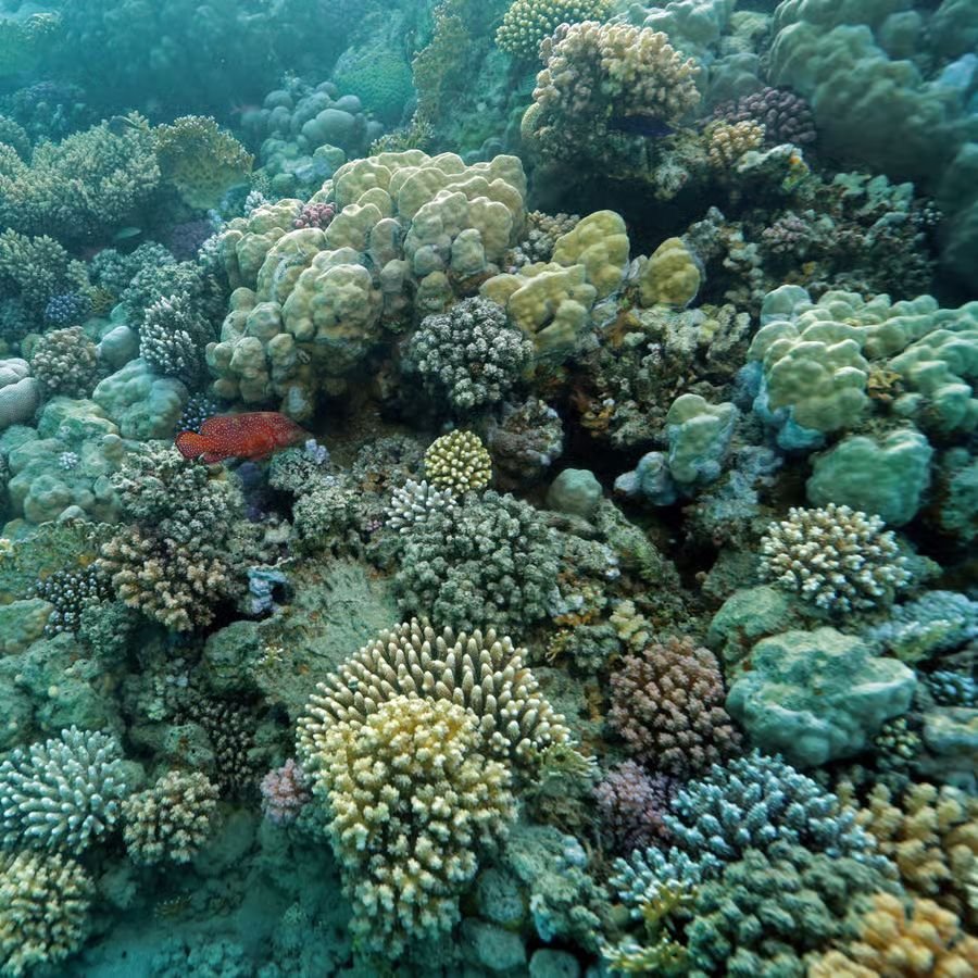 WhatsApp Obrázek 2025-08-27 v 11.46.06_bb5477ab