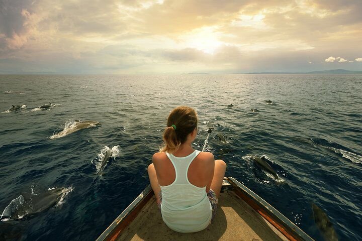 WhatsApp Image 2025-08-27 at 11.53.05_08041fa0