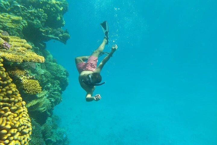 WhatsApp Image 2025-08-27 at 11.53.06_f704db24