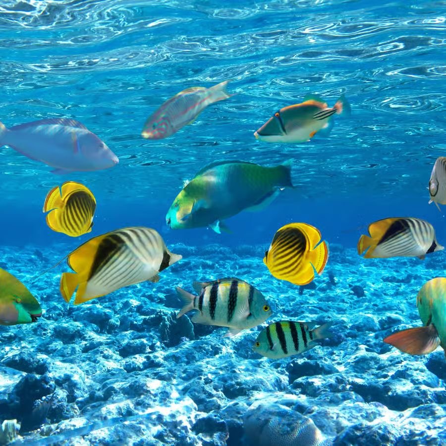 WhatsApp Image 2025-08-27 at 11.53.07_07704b73