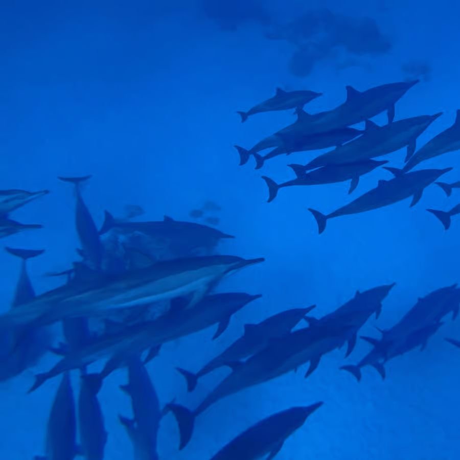 WhatsApp Image 2025-08-27 at 11.53.08_60b016be