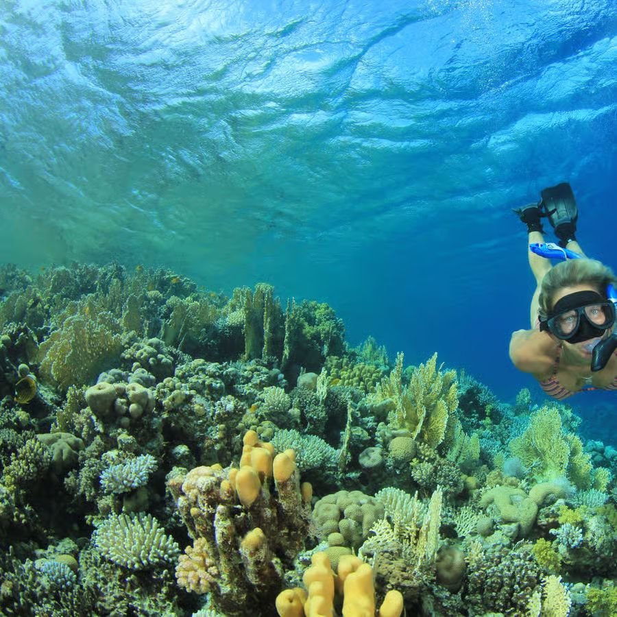 WhatsApp Image 2025-08-27 at 11.53.08_9d07983a