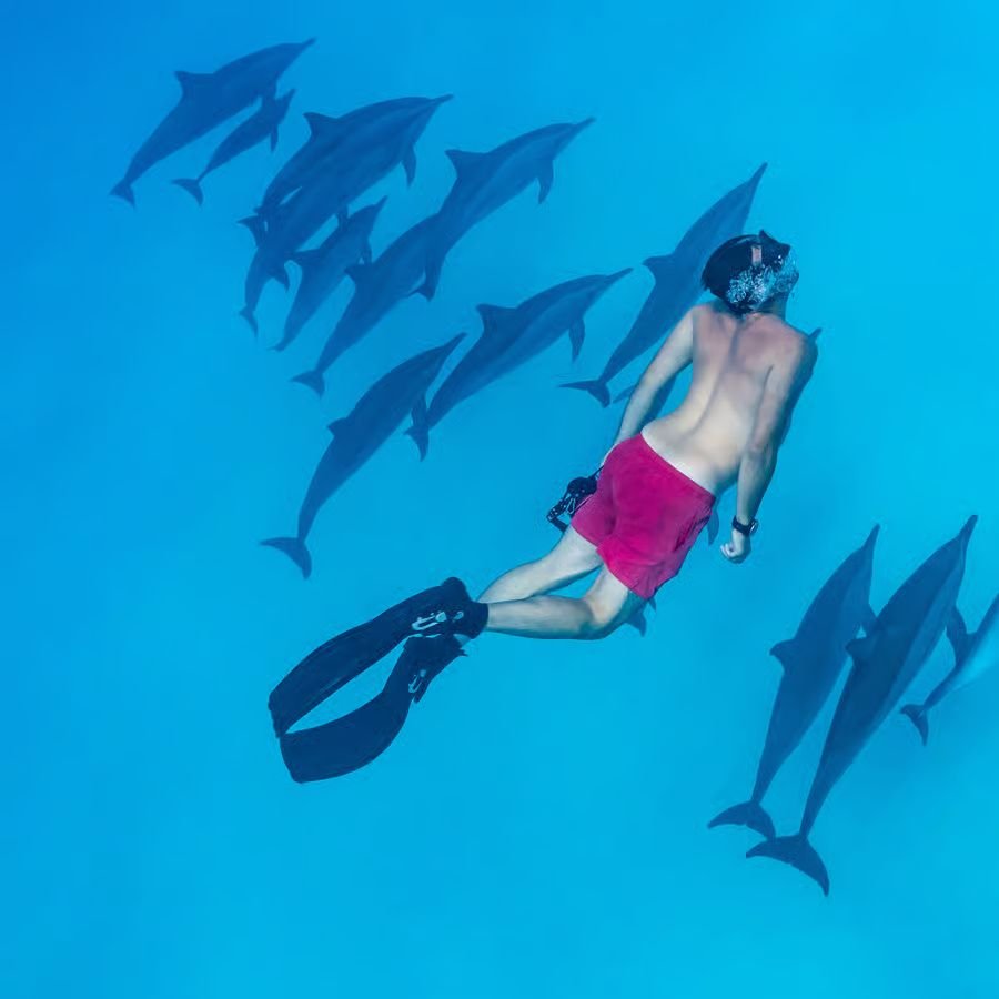 WhatsApp Image 2025-08-27 at 11.53.08_9f8c4984