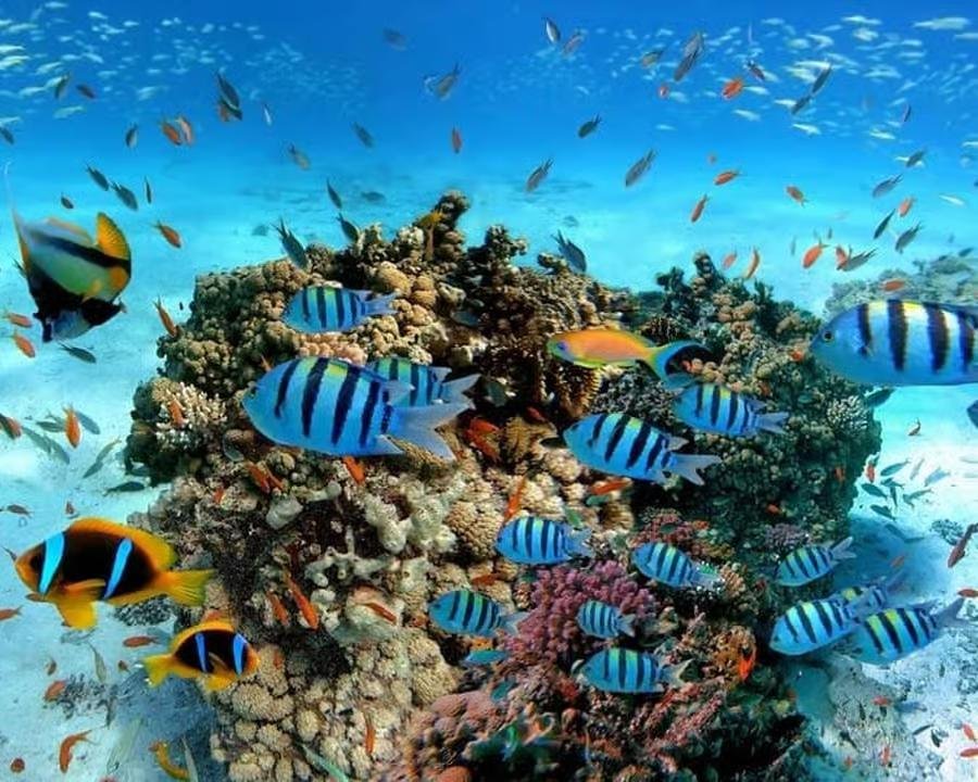 WhatsApp Image 2025-08-27 at 11.53.09_b41b8f03