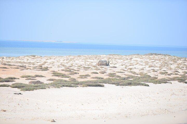 WhatsApp Image 2025-08-27 at 11.53.56_a3197cca