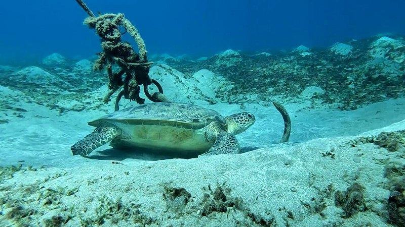 WhatsApp Image 2025-08-27 at 11.57.16_0e775629