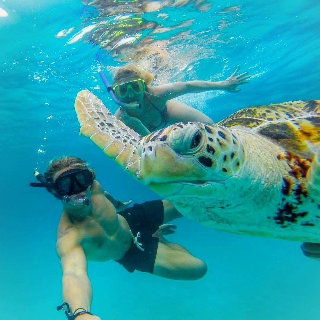 WhatsApp Image 2025-09-24 at 19.16.01_c06512e5