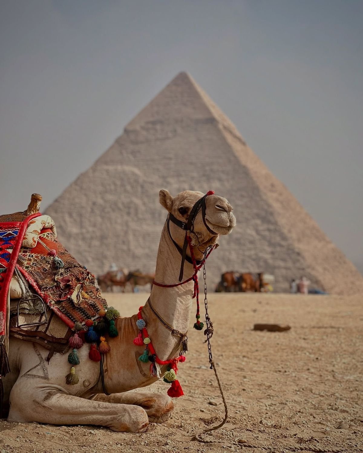 صورة واتساب بتاريخ 2025-09-18 في 18.48.53_cd577b39